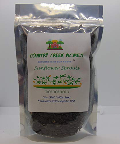 Sunflower Sprouting Seed, Non GMO - 12 oz - Country Creek Acre Brand - Sunflower Seed for Sprouts, Garden Planting, Cooking, Soup, Emergency Food Storage, Gardening, Juicing, Cover Crop