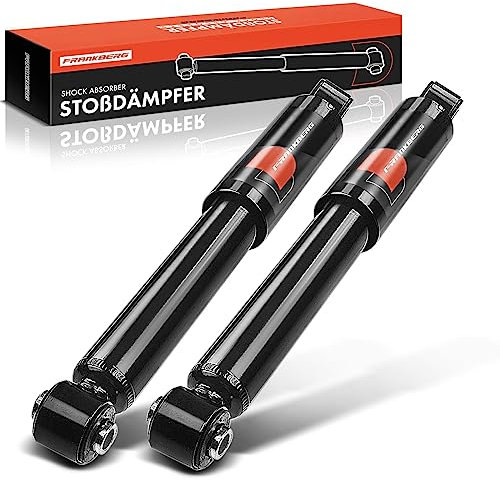 Frankberg 2x Ammortizzatore a gas Assale posteriore Compatibile con 169 Hatchback 1.4L 2006-2012 KA RU8 Hatchback 1.2L 1.3 TDCi 2008-2016 Sostituire# 1540225