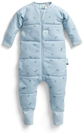 ergoPouch Sleep Onesie 2.5 TOG – Warm Baby Romper & Sleep Layer with Full-Zip, Guarding Against Blankets, Breathable & Movement-Friendly, Ideal for Transitional Sleeping (12-24 Months, Dragonflies)