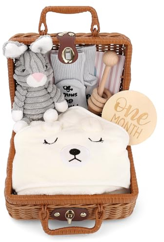 Nyfödd gåva baby födelse gåva personlig pojkar och flickor nyfödda presentset babyfiltar, träleksaker, plyschdjur, gratulationskort, födelsekort, strumpor, presentlådor korgar