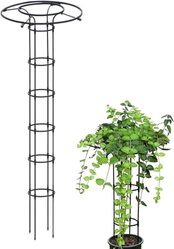 Graticcio da giardino a forma di obelisco da giardino, alto nero, supporto leggero per piante rampicanti e fiori da esterno (65 cm), perfetto per la decorazione del giardino