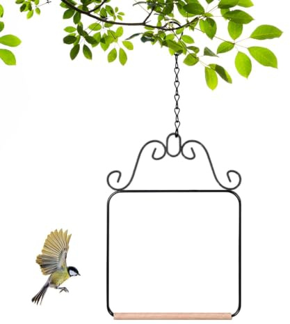 Fågelgunga utomhus, sittstång av metall med kedja, kolibrigunga | Metallramsgunga, 31 x 22,5 cm, fågelsittstång med kedja, dekorativ kolibrisits, för trädgårdsterrass,