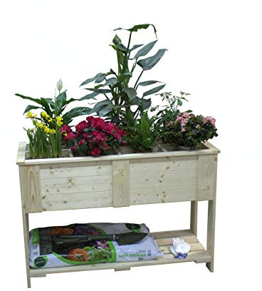 DB Solido aiuola rialzata in legno di abete rosso, fioriera per piante, serra per erbe aromatiche (116 x 48 x 78 cm, con scomparti)