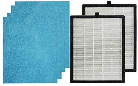 PUREBURG Ersatzfilter kompatibel mit Duomishu ‎KJ203F-142 Luftreiniger und Acekool AF1 Luftreiniger,2er-Pack H13 und 4 Vorfilter Luft sauber VOCs