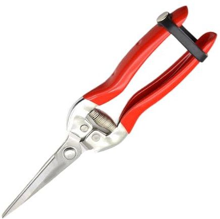 Tijeras De Podar | Podaderas De Acero Inoxidable Para Jardín Y Tijeras De Poda,Tijeras Para Poda De Árboles Frutales, Viñas Y Modelado De Bonsáis