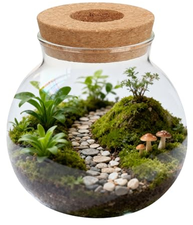 OSALADI Vase Hydroponique en Verre Petit Format, Récipient pour Propagation D’Eau Bouchon, Terrarium Décoratif pour Plantes D’intérieur, Pot de Fleurs Compact pour Salon ou Bureau