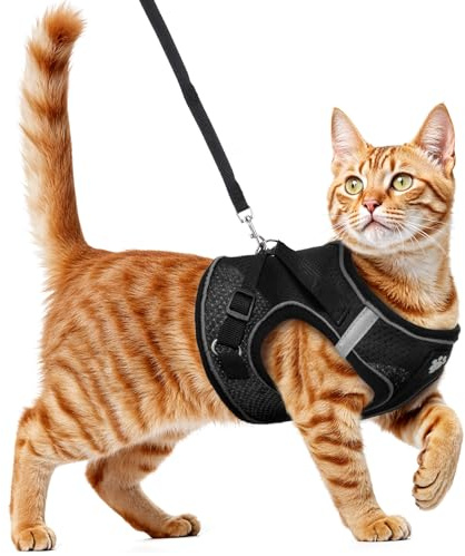Wanmu Harnais pour chat avec laisse - Anti-éclatement - Laisse réglable et respirante - Pour chatons et chiots - Noir - Taille XL