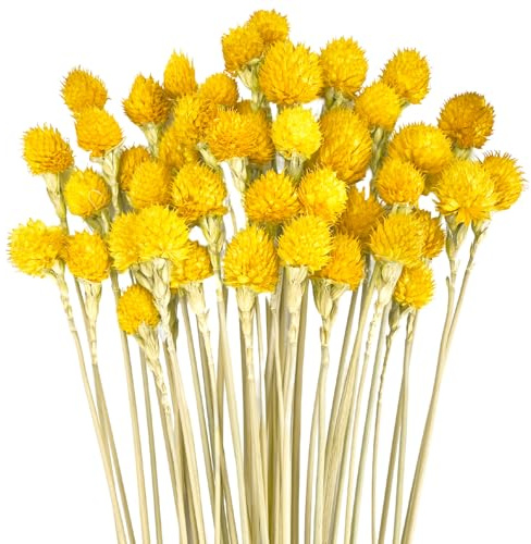 RUGBOL 45 st. Torkade Jordgubbsblommor, Naturliga Torkade Blommor för DIY-Arrangemang, Heminredning för Sovrum och Vardagsrum (Gul)