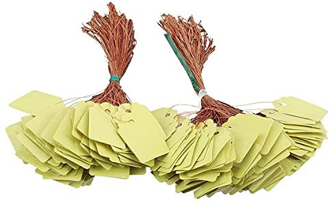 INTCHE Lot de 200 étiquettes à suspendre pour plantes - En plastique imperméable - Réutilisables - Marqueurs de jardin vierges - Noms de graines avec cordons