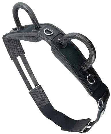 Brama West Voltigiergurt Reitgurt mit Zwei Griffen aus Leder - geeignet auch als Longiergurt - Gr. Full