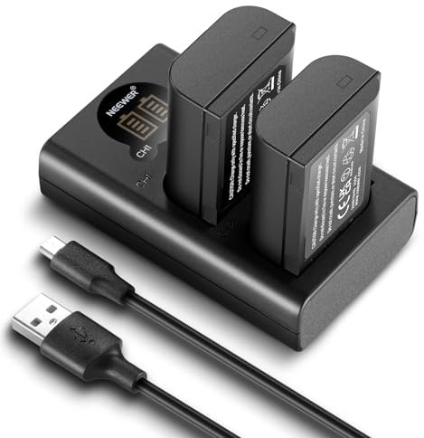 NEEWER DMW-BLK22 Ersatzakku und Ladegerät Set, 2er Pack 2400mAh Akkus und Typ C Zweikanal USB Ladegerät, kompatibel mit Panasonic Lumix DC-S5 DC-S5 II DC-S5 IIX GH5 II GH6 S5II S5M2 GH5M2