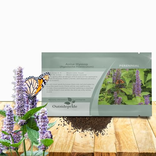 Outsidepride Purple Anise Hyssop Seeds for Planting - 10000 Pcs Perennial Herb Garden Seeds with Fragrant Blooms Attractive to Pollinators, for Small Gardens, Containers, & Xeriscaping