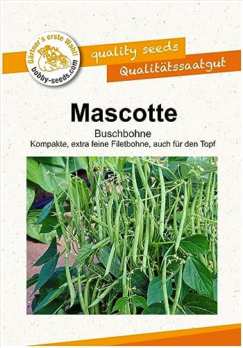 Bohnensamen Mascotte Buschbohne Portion