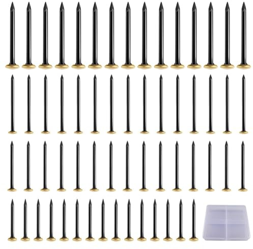 COYUN 60 Pezzi Chiodi per Quadri Muro,Chiodini per Quadri Muro,Chiodi per Appendere Quadri, Chiodi in Acciaio,Chiodi per Cartongesso per Quadri per Quadri Cornici Specchio Cartongesso Legno di Cemento