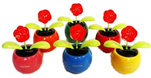 HAAC Solar Wackelblume Blume Rose rot