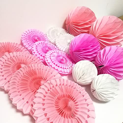 Wall Decoration Hanging Paper Fans Honeycomb Balls 15 Pieces Tissue Paper Pom Poms Flower Balls for Birthday Wedding Party Baby Shower (15 Pieces-4 6 8, Pink Set)