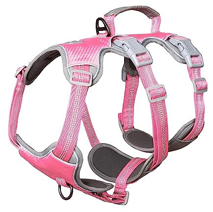 Huntboo Hunde Sicherheitsgeschirr, Reflektierendes Geschirr mit Gepolstertem Griff, Wasserdicht, Verstellbare Weste für Kleine Hunde Zum Gassi Gehen, Trainieren (Rosa,S)