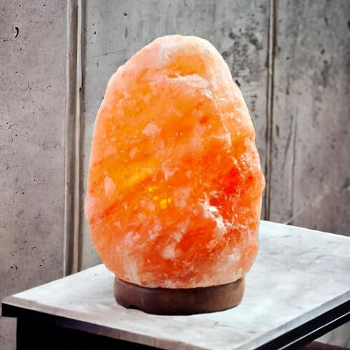 Saltbay Lampe de sel Himalaya Naturelle 2-3 Kg avec variateur de lumière