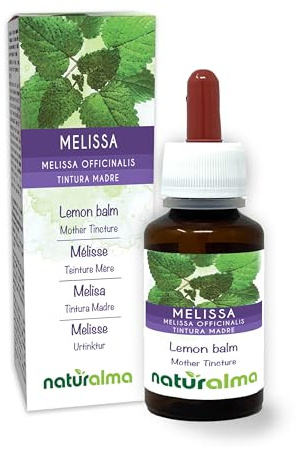 Lemon Balm (Melissa officinalis) Leaves Alcohol-Free Mother Tincture Naturalma - Liquid Extract Drops 60 ml - Food Supplement - Vegan