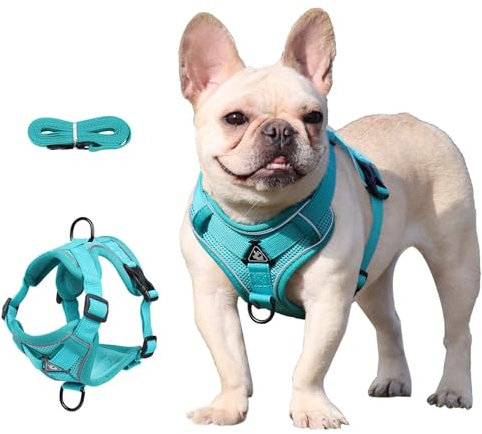 Air-Mesh Atmungsaktiv Brustgeschirr, Hundegeschirr mit Leine, Weich Einstellbar Reflektierend Anti Zug Hundegeschirr, Verstellbare Welpengeschirr für mittelgroße Kleine Grosse Hunde (S)