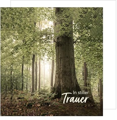 Edition Seidel Premium sorgkort fyrkantigt med kuvert. Veckkarta ordspråk tyska i sorg skog komfort hopp (TQ218 SW026)