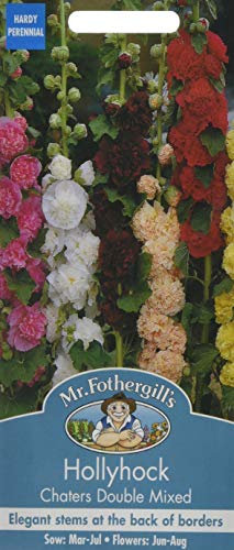 Mr Fothergill's 20957 Flower Seeds, Hollyhock Chaters Double Mixed