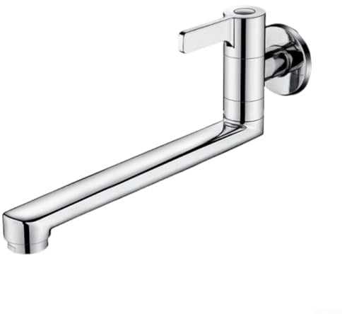 Rubinetto singolo girevole per acqua fredda, montaggio a parete, rubinetto da cucina 20 cm/25 cm, beccuccio esteso, in acciaio inox 304, per lavello, piscina, risparmio di spazio (25 cm)