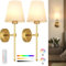 trivkyand Rechargeable Wall Lights Set of 2, Battery Operated Wall Lights Indoor with 5600mah Detachable Charging Bulbs and Remote, 12 Colours Wireless Sconces for Bedroom Living Room Hallway