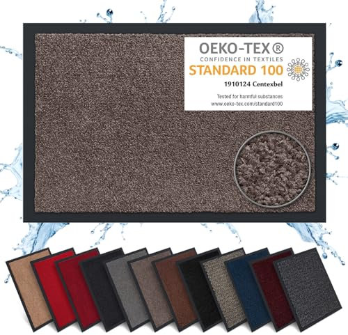 Carpet Diem Fußmatte, einfach sauber I Schmutzfangmatte Eingangsbereich - Fussmatte Innen & Außen, rutschfeste Türmatte, Schmutzfang Teppich für Haustür I Fußabtreter in Taupe 40x60 cm