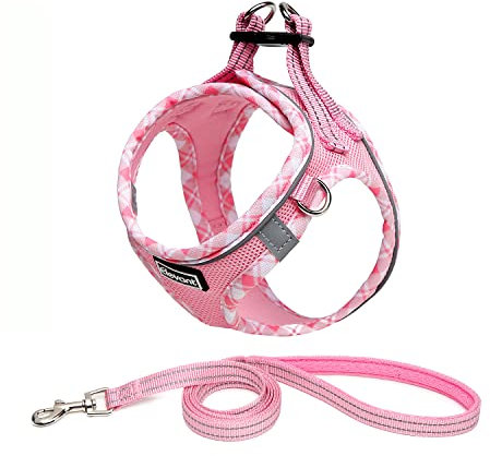 Elevant Hundegeschirr mit Leine, Step-in Weich Gepolstert Geschirr Reflektierend, Air-Mesh Atmungsaktiv Brustgeschirr, Welpengeschirr für Kleine Hunde, Haustiere, Welpen, Katzen (XS, Rosa)