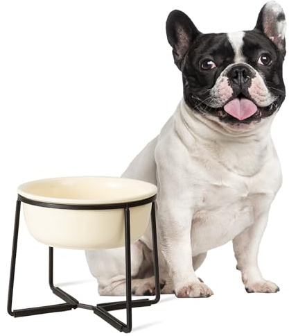 Cuenco de cerámica para perros con soporte de metal, cuenco elevado para comida o agua, plato para mascotas para perros pequeños a medianos, color beige