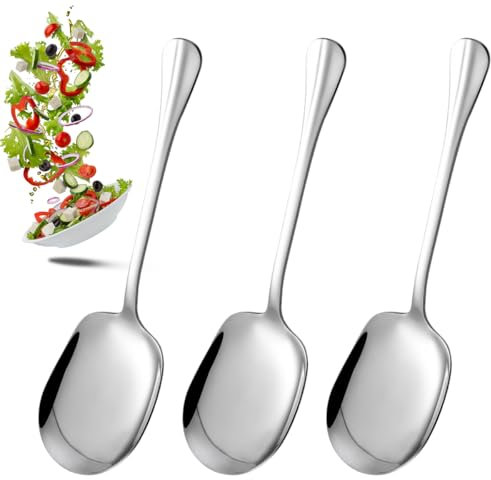 3 Pezzi Cucchiai da Portata Grandi in Acciaio Inox, 25 cm Cucchiai da Insalata con Manico Lungo, Grande Cucchiaio per Banchetto, Cucchiaio da Distribuzione per Banchetto, Buffet, Ristorante, Posate