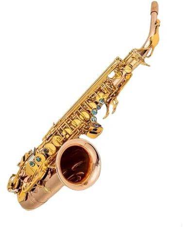 Professionell Saxofon Altsaxofon Fosforbrons Med Munstycke Och Halslåda