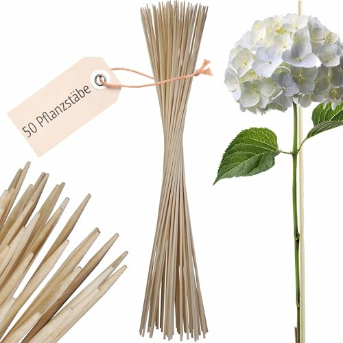 ORANGE DEAL 50 Pflanzstab Bambus - Rankstäbe Bambusstäbe für Zimmerpflanzen, Rankhilfe Garten, Pflanzstäbe, Pflanzenstab Rankstab Holz 90cm x 6mm Ø