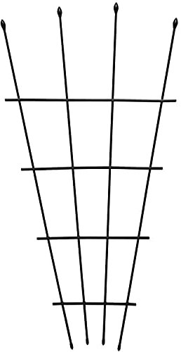 Garden Gear 1.2 Metre Fan Pot Trellis, Plastic Coated Steel Outdoor Decorative Plant Support, Weather Resistant (2)