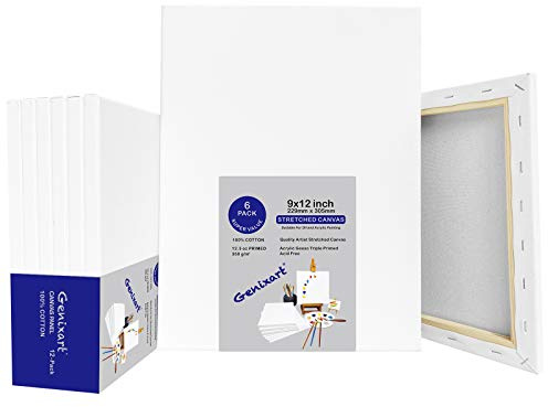 Genixart 24 x 30 cm/9 x 12 tum vit blank sträckt duk, paket med 6, grundade professionella konstnärsdukar för akryl- och oljemålningar