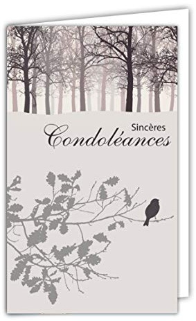 Afie Tarjeta Sinceras Condolencias pequeño formato Gris Muerte Lujo Paisaje Paisaje Sol Puesta Vuelo Pájaros Pájaros Pájaros Paz Agua Lago Hierba Hierba