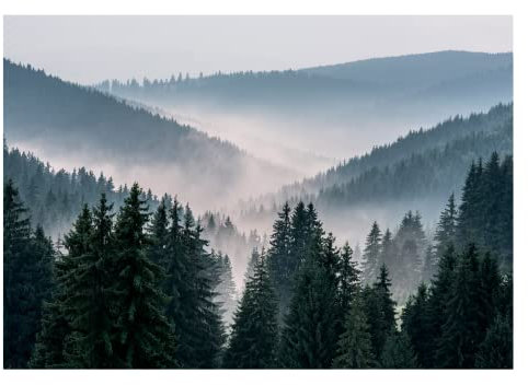 WallArena - Vlies Fototapete Berge Wald im Nebel Landschaft Natur Bäume 368x254 cm - Fototapeten - Tapeten - für Wohnzimmer Schlafzimmer - Vliestapete Wandtapete Tapete 3D Effekt- inkl. Kleister