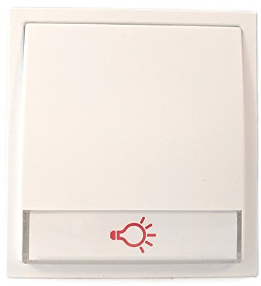 RENZ Tastenmodul mit 1 Lichttaster-Verkehrsweiß (RAL 9016) 97-9-85273