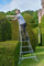 Hendon 10ft (3.0m) Aluminum Standard Lightweight Tripod Ladder - Ideal for Gardeners, DIY enthusiast, Landscapers suitable for both outdoor and indoor use. (With rubber feet)