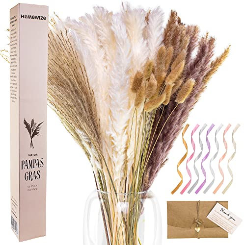 Homewize Natürliches Pampasgras Groß – Set mit 90 Stück mit Hasenschwänzen und Schilfgras - 65 cm Lange Stämme für Lange Vasen und zum Zuschneiden für Blumensträuße – Pampasgras Deko