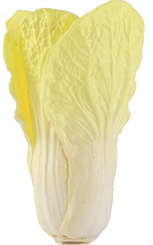 Haowul Simulation Modèle De Légumes Cabou Chinois Artificiel Ornement De Chou Chinois Réaliste