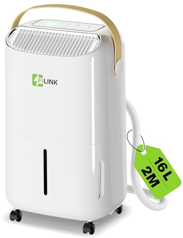 Deumidificatore 16L/Giorno, Deumidificatore Casa Muffa fino a 110 m³ (45 m²), Timer 24H e Autospegnimento, Tanica da 2,5L, Ecologico R290, deumidificatore Portatile per Bagno, Camera da Letto, Cantina