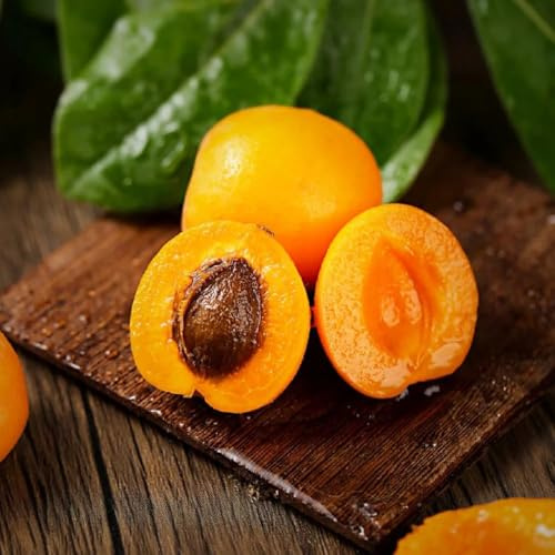 Semillas resistentes de albaricoquero jardín de semillas organicas jardin balcón resistentes columnar resistente para jardín, 20pcs