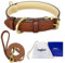 Tagfur Leder Hundehalsband mit Leine, Gepolstert und Verstellbar Hundehalsband und Leine Set, Hundehalsband Leder für Kleine Mittlere Große Hunde, Nicht Leicht zu Brechen(Braun, L)