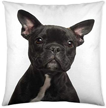etérea 100% bomull dekorkudde kuddfodral kuddfodral, hund bulldog svart 40 x 40 cm