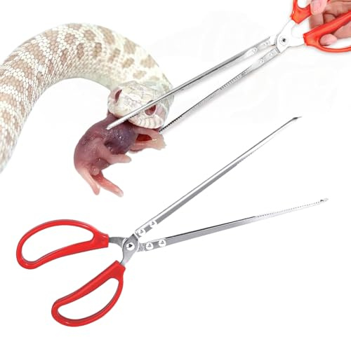 Lupdato Pinzas de alimentación de serpientes de 15 pulgadas, pinzas de alimentación de reptiles, herramienta de agarre de serpientes, pinzas para reptiles lagartos, serpientes, accesorios de tanque,
