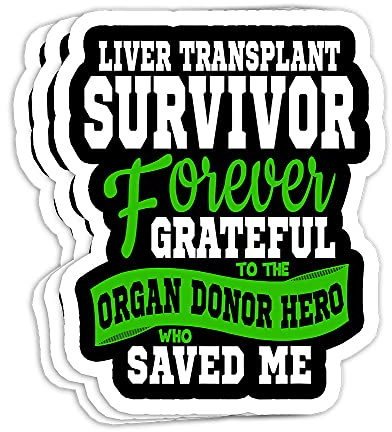 Liver Transplant Organ Recipient Survivor Gift Decorations - 3x4 Decals Stickers for Laptop Window Helmet Water Bottle (Set of 3)