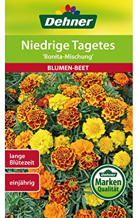 Dehner Blumen-Saatgut, Niedrige Tagetes, Bonita Mischung, 5er Pack (5 x 1.3 g)