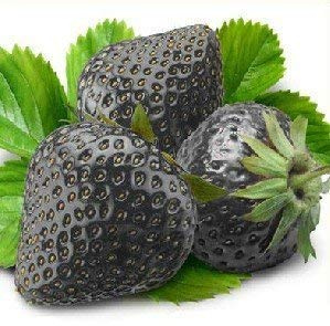! Promione fragola gigante semi dolce fragola quattro stagioni, Rare, fragrante, dolce & Juicy - 200 pc/lotto, JO9E8A
